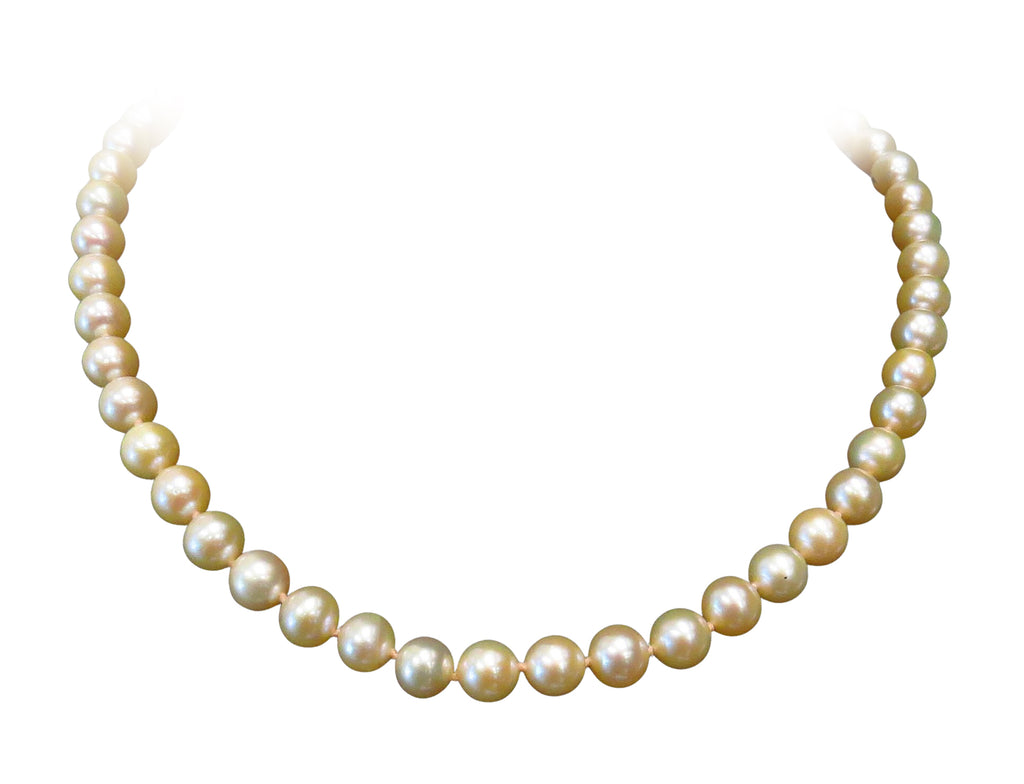 Freshwater Pearl Necklace - PASSION/PASCAL PEARLS