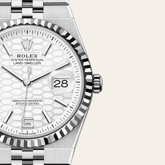 Land-Dweller 36 - Rolex
