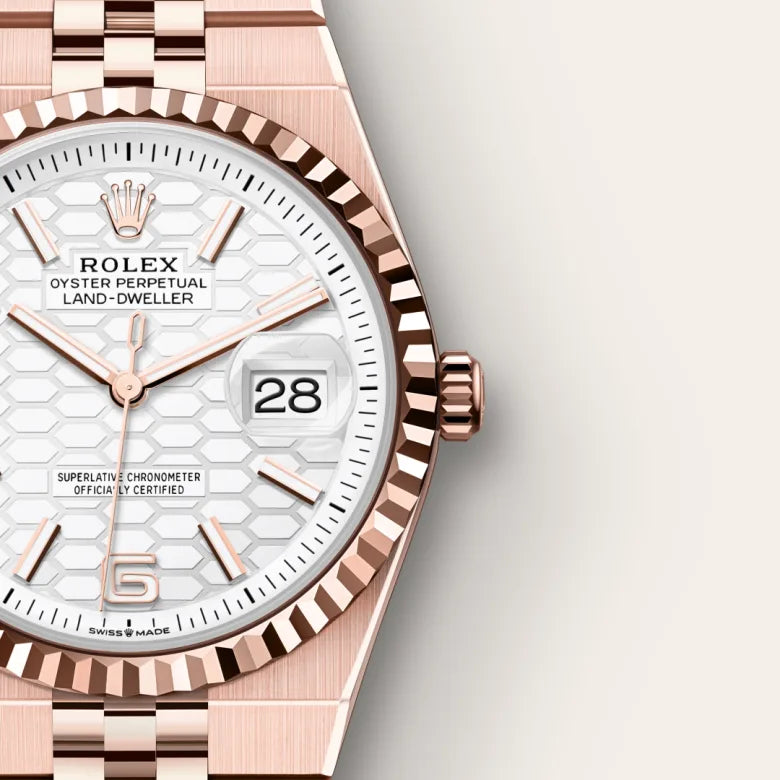 Rolex Land-Dweller 36