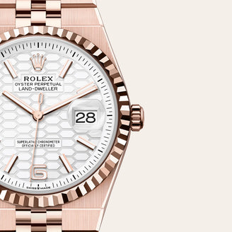 Land-Dweller 36 - Rolex