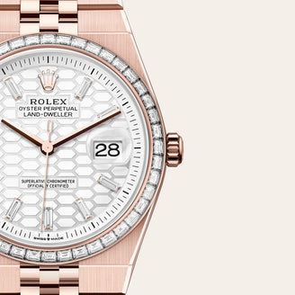 Land-Dweller 36 - Rolex