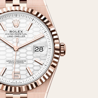 Land-Dweller 40 - Rolex